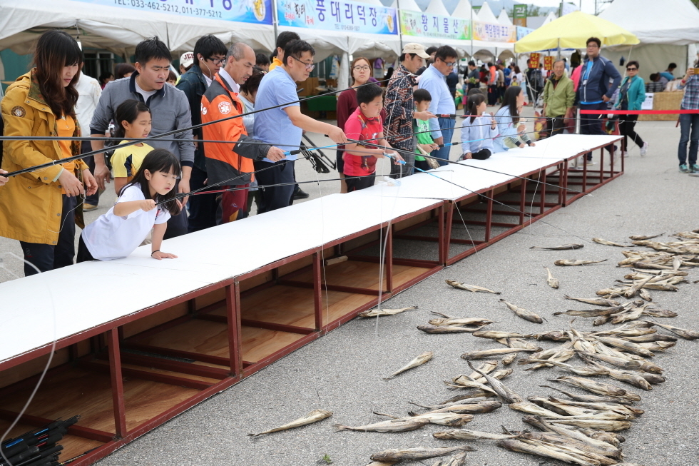 http://www.pressian.com/news/article.html?no=157457 인제 용대리