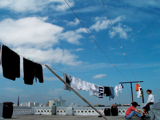 ▲ 가리베가스(김선민, 2005)