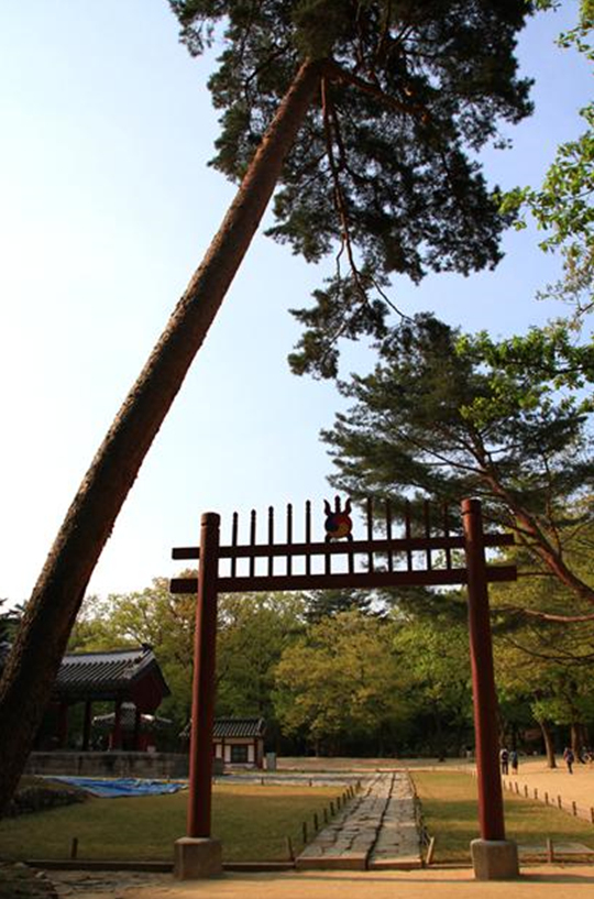 ▲조선 태조의 계비 신덕왕후의 정릉ⓒ서울학교