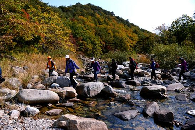 ▲새이령으로 가려면 박달나무쉼터를 지나 공터에서 개울을 건너야 한다.ⓒ진우석