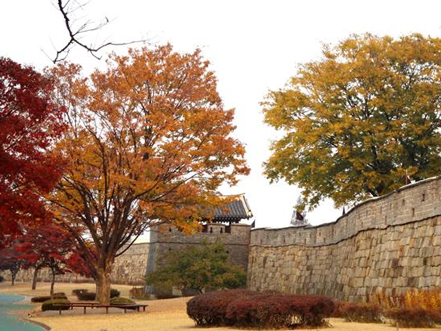 ▲가을에 더욱 아름다운 수원화성 ⓒ화성학교