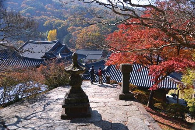 ▲보조국사 지눌의 부도인 감로탑은 송광사가 한눈에 내려다보이는 명당에 자리잡았다.ⓒ진우석