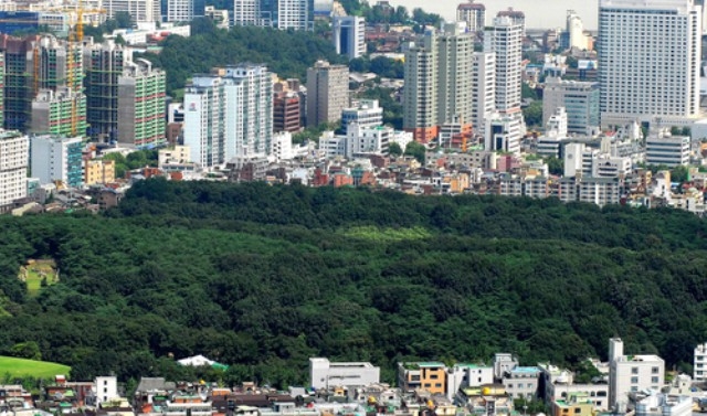 ▲ 서울 강남구 삼릉공원 전경. ⓒ연합뉴스