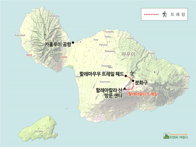 ▲마우이 섬