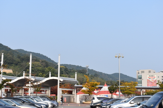 ▲한국마사회 렛츠런파크 부산경남가 황금의 개해를 맞이해 오는 7일, 14일 양일간 '작지만 확실한 행복, 소소하지만 오롯이 즐길 수 있는 행복'을 뜻하는 소확행(小確幸)을 테마로 신년 이벤트를 진행한다.ⓒ석동재 기자