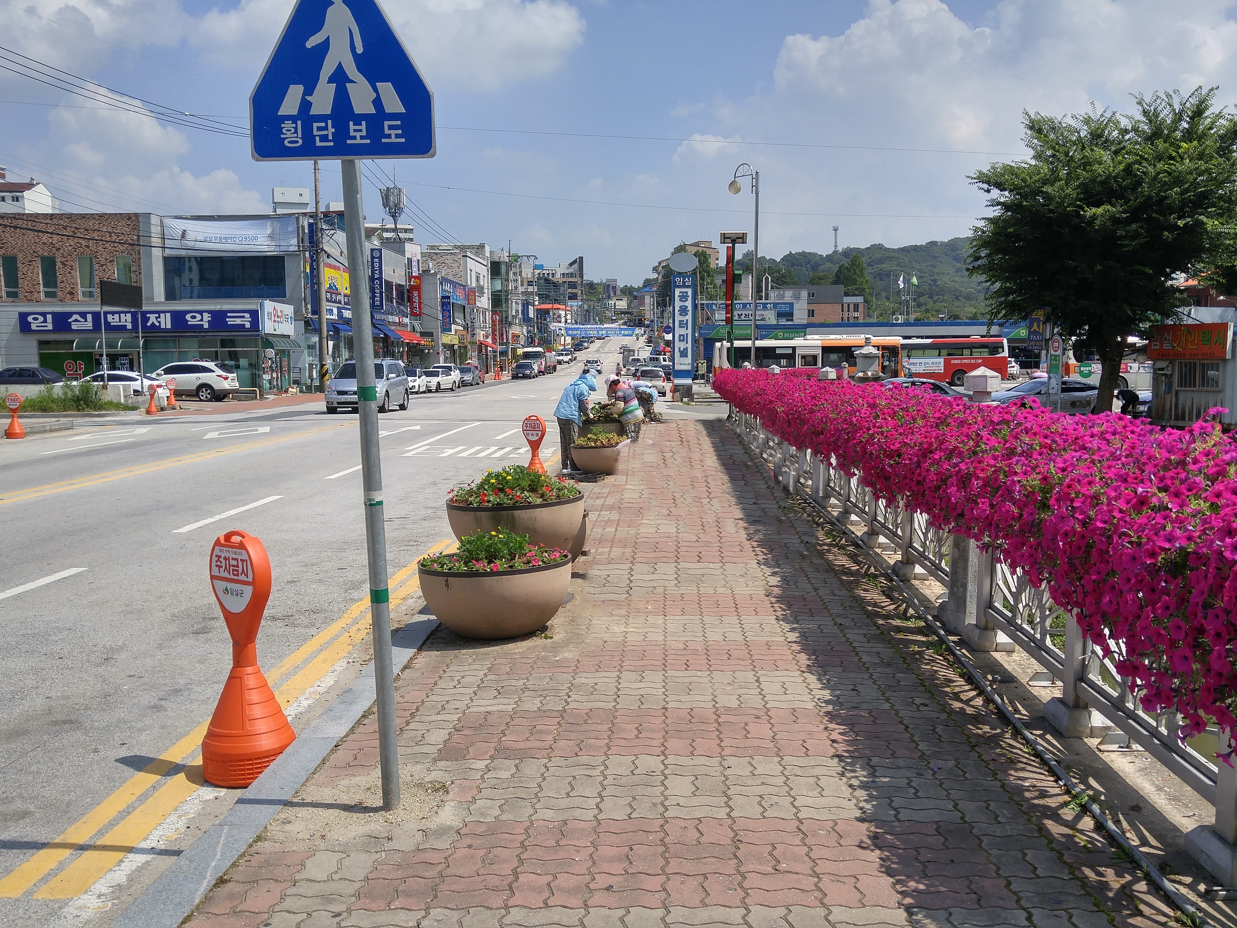 ⓒ임실군