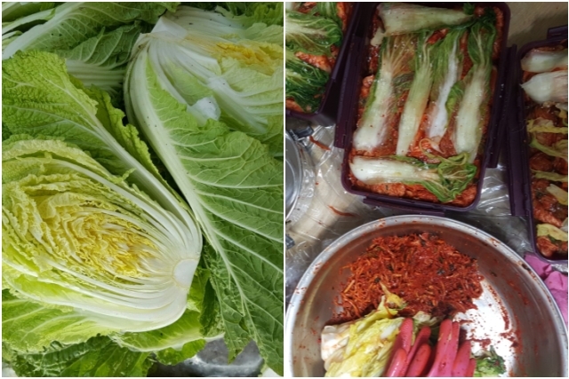 ▲ 김장 배추김치. ⓒ텃밭보급소