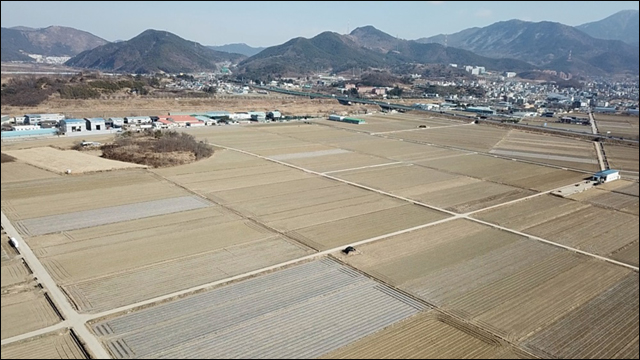 ▲ '현풍들'의 대부분은 논으로 지금 보리와 밀 같은 곡류가 심겨져 있고, 그 중의 아주 극소수가 마늘과 양파 농사를 짓고 있다. 비닐을 씌운 곳이 그런 곳이다. ⓒ대구환경운동연합(정수근)