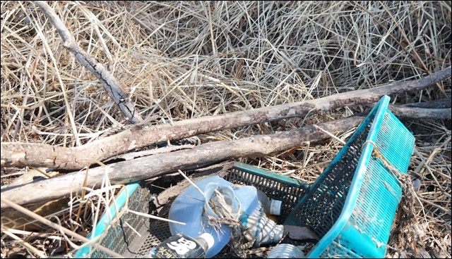 ▲ 하식애 절벽 아래 떠밀려 온 쓰레기와 죽은 나무들(2018.3.2.달성군 화원읍) ⓒ평화뉴스(김지연)