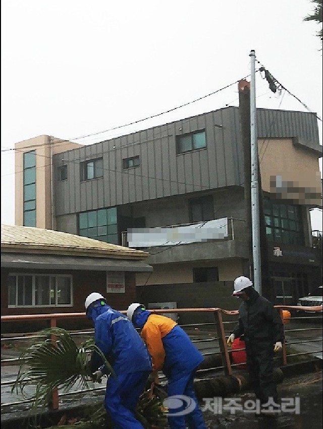 ▲ 강풍으로 가로수가 부러지자 관계자들이 안전 조치를 취하고 있다. ⓒ제주의소리