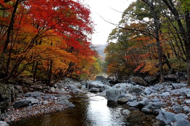 ▲인적 없는 만추의 비경이 펼쳐지는 서산밭골Ⓒ미산정보화마을
