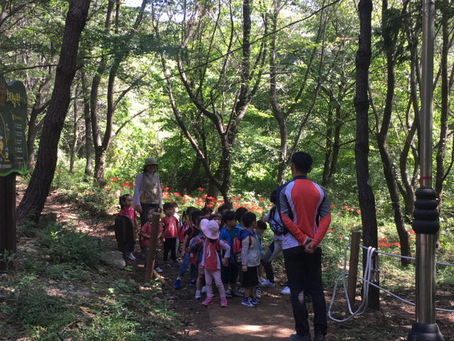 ▲유아숲체험원 사진 ⓒ순천국유림관리소