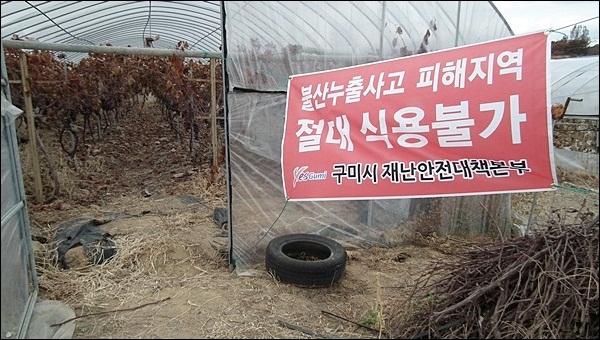 ▲구미 봉산리 한 농가에 걸린 '절대 식용금지' 플래카드 ⓒ 평화뉴스 정수근 객원기자
