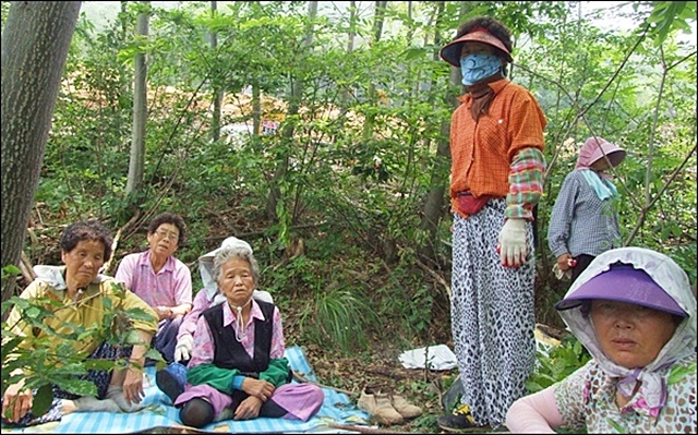 ▲ 한전의 송전탑 공사 예정지에서 농성 중인 삼평리 할머니들(2012.7.9) ⓒ평화뉴스(김영화)