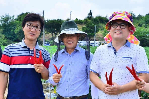 순창고추 명품화 사업에 참여하고 있는 세계종묘 서익재 대표(좌측), 고추육종 안정환 박사(가운데), 농업기술센터 소재호 박사 ⓒ순창군