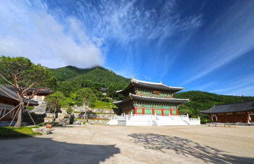 ▲산청서 전국 9도 임산물 요리경연 개최. ⓒ 산청군