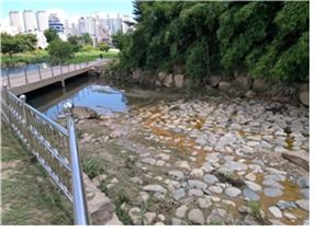 ▲ 물고기 폐사가 발생하는 온천천. ⓒ부산시