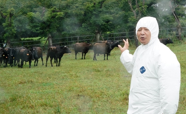 원희룡 제주도지사는 11일 축산진흥원을 방문 제주흑우를 제주의 미래 먹거리산업으로 육성하기 위한 대책을 논의했다. ⓒ축산진흥원