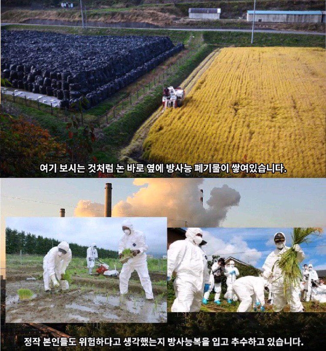 ▲ SNS를 떠도는 문제의 '가짜뉴스'