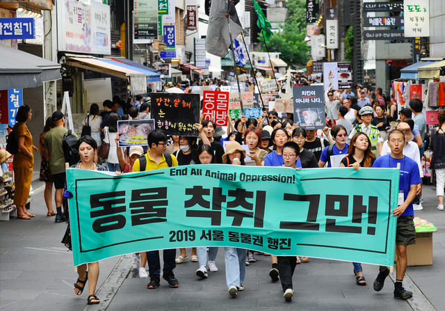 ▲종차별 철폐를 위한 동물권 행진 연대가 인사동 일대를 행진하고 있다. ⓒ동물해방물결