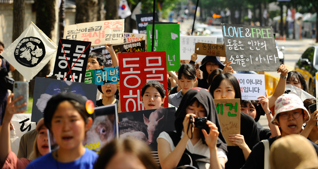 ▲2019 서울 동물권 행진 ⓒ동물해방물결