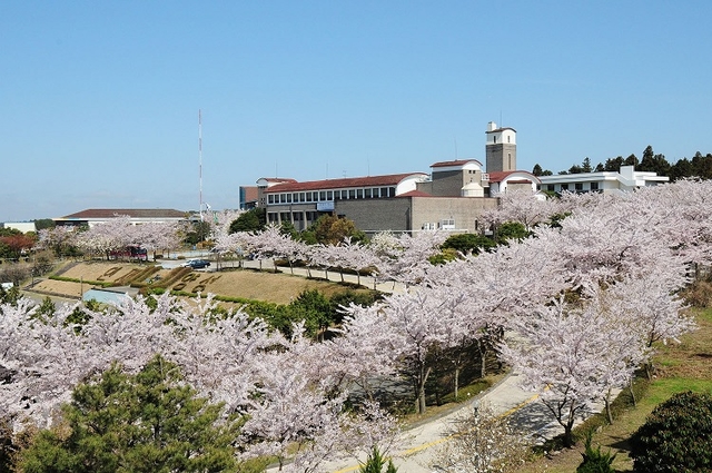 제주도 인재개발원 전경 .ⓒ제주도 인재개발원