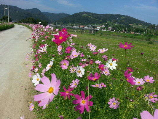 ⓒ임실군