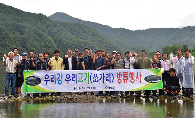 ▲지난 9일 김삿갓면 각동리 가재골교 인근에서 최명서 영월군수를 비롯한 주민들이 참석한 가운데 향토어종 치어방류 행사를 갖고 있다. ⓒ영월군