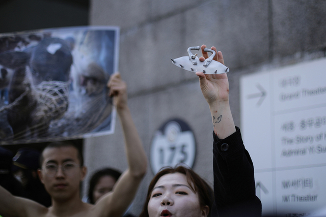 ▲송아지의 입에 물리는 포유방지기 ⓒ프레시안(최형락)