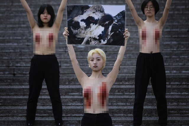 ▲'피로 물든 젖꼭지' 시위 중인 DxE 활동가들. 모자이크를 원치 않는다고 밝혔다. ⓒ프레시안(최형락)