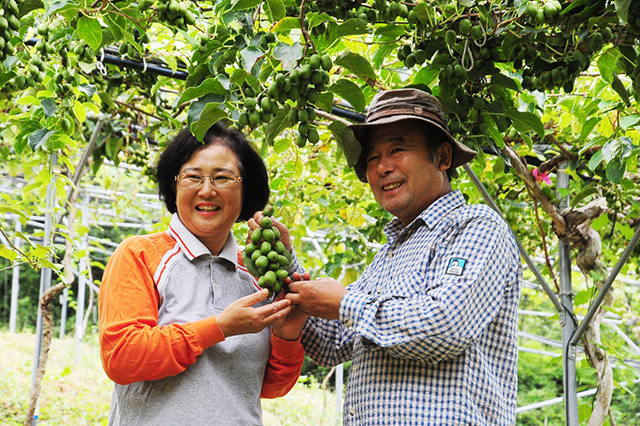 La ferme Yeongwol Saemmel La ferme Kwak Mi-ok reçoit une citation présidentielle