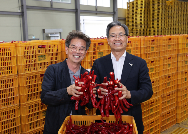 영양고추유통공사, 2025년 산 홍 고추 5,000톤 수매 - 뉴스 썸네일 이미지