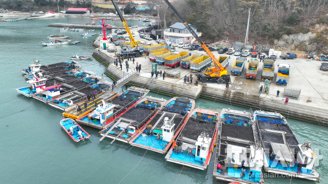 K-김(GIM)의 본고장 완도, '햇김' 채취 한창 - 뉴스 썸네일 이미지