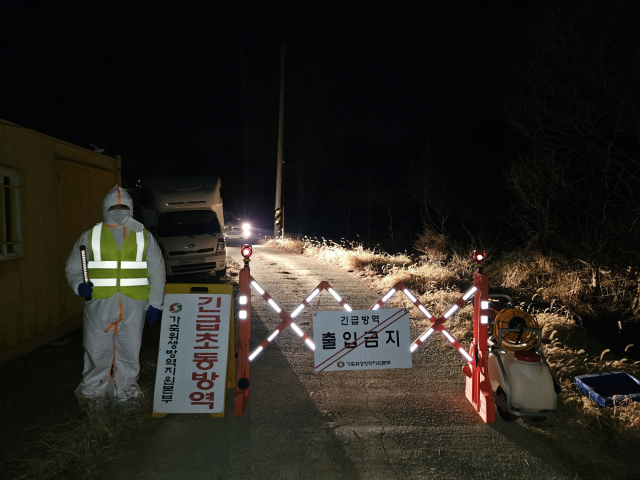 Avian Flu Outbreak: 27,000 Ducks to Be Culled in Naju, South Korea Avian Flu Outbreak: 27,000 Ducks to Be Culled in Naju, South Korea