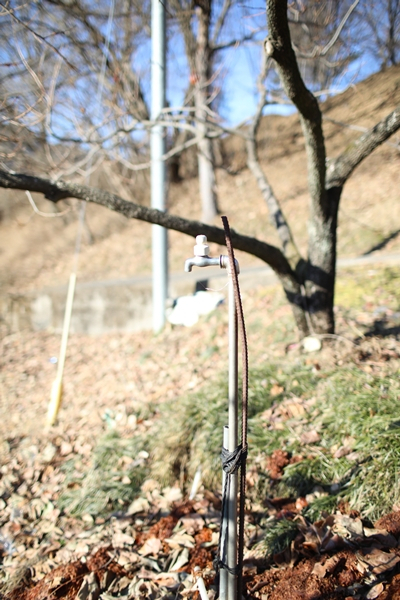 "마을 물이 말라가" 속 시커멓게 타든 산청, 정치도 행정도 외면했다[파... - 뉴스 썸네일 이미지