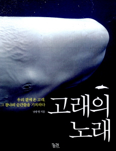 &apos;고래의 눈물&apos; 본 적 있나요? - 뉴스 썸네일 이미지